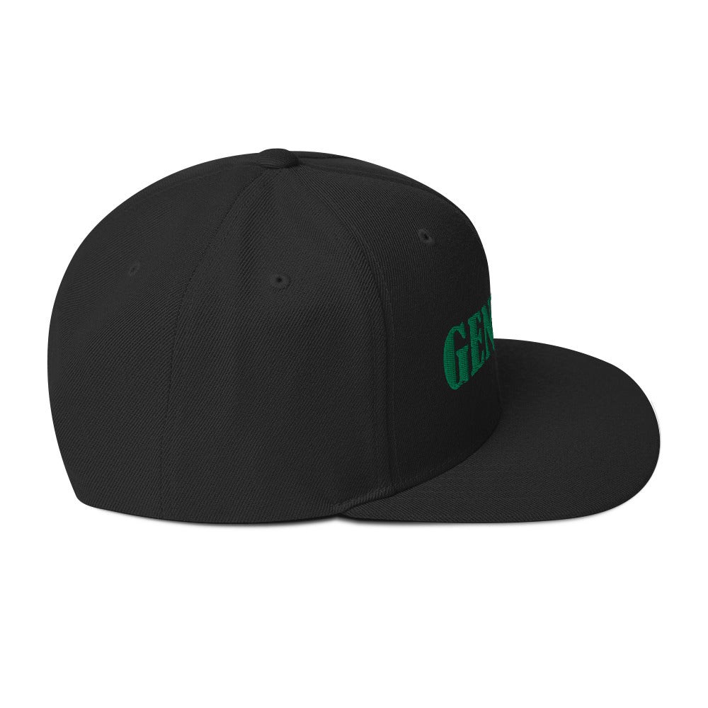 Genesis 3 Snapback Hat - RTS Collaborative
