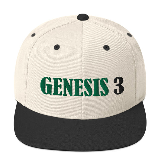Genesis 3 Snapback Hat - RTS Collaborative