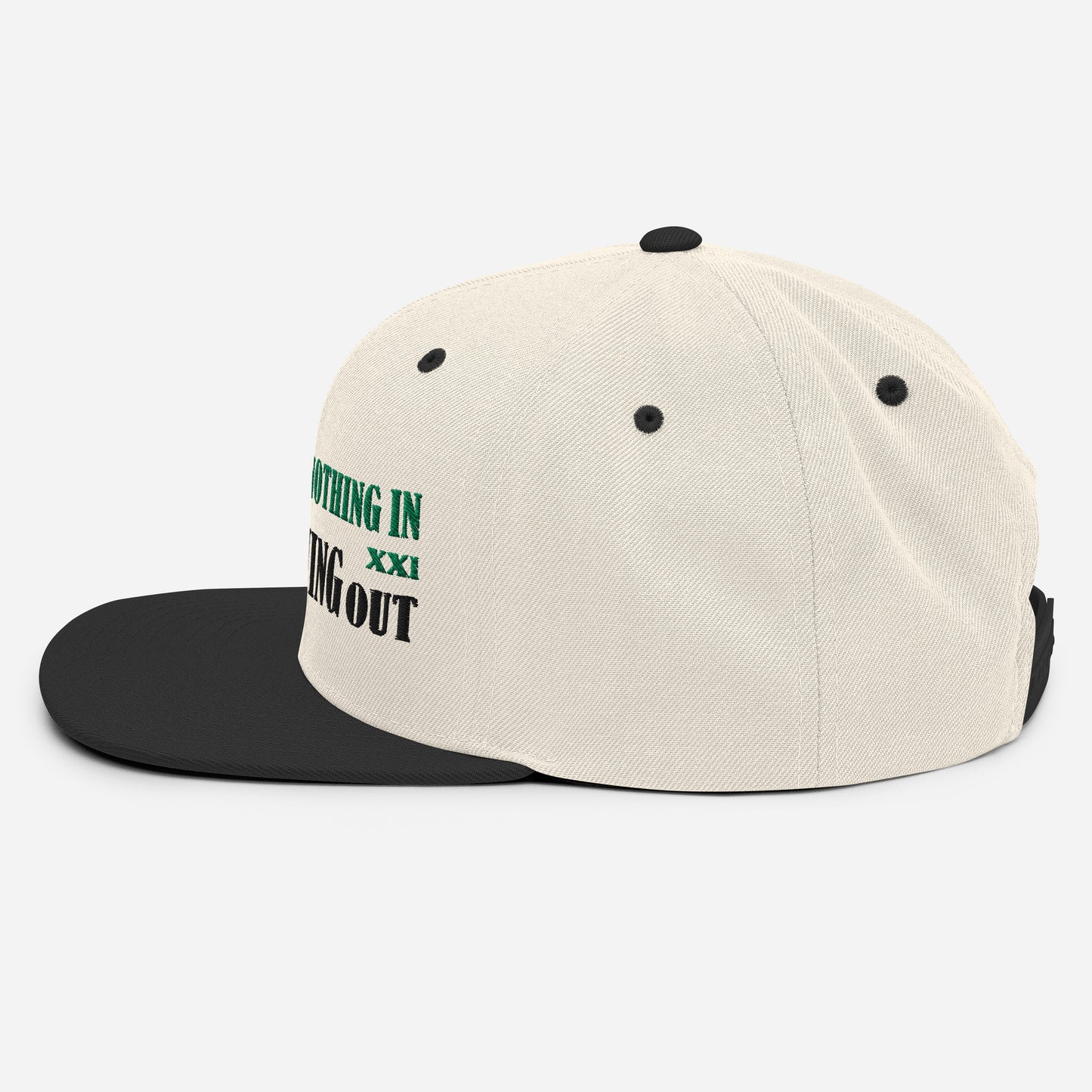 The World Brought Nothing In Snapback Hat - RTS Collaborative