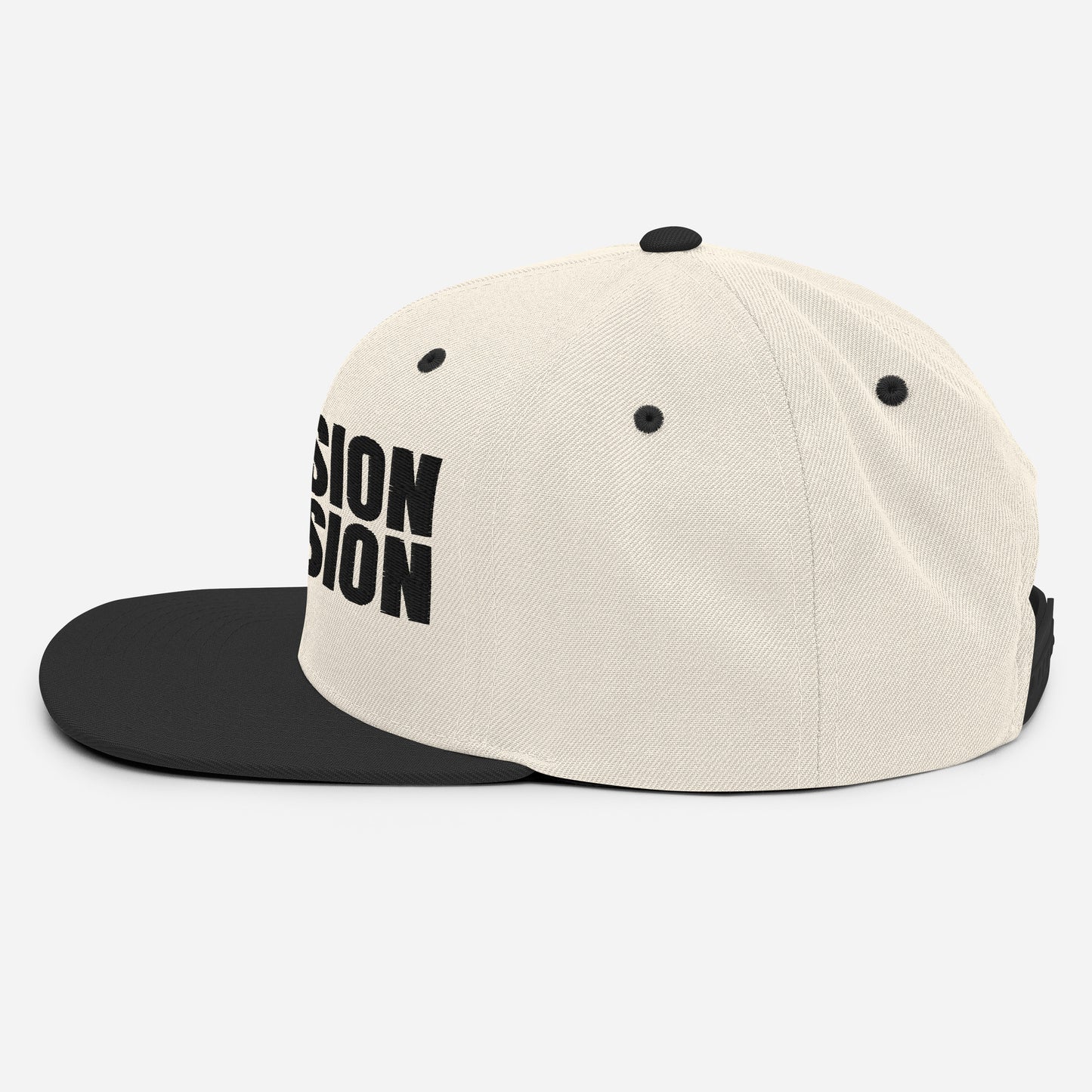 Provision Vision Snapback Hat - RTS Collaborative