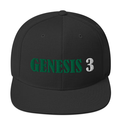 Genesis 3 Snapback Hat - RTS Collaborative