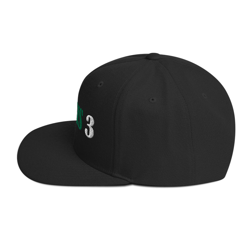 Genesis 3 Snapback Hat - RTS Collaborative