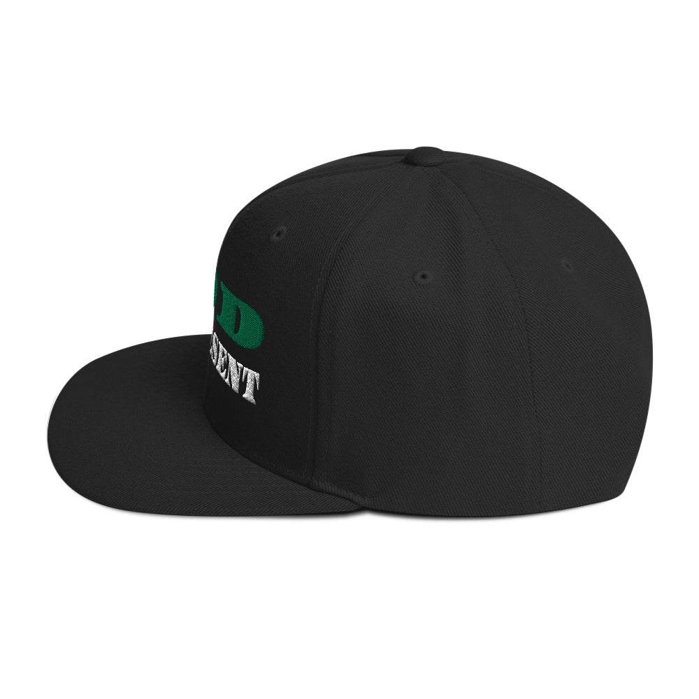 God Omnipresent Snapback Hat - RTS Collaborative