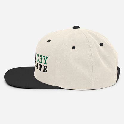 Currency Type Snapback Hat - RTS Collaborative