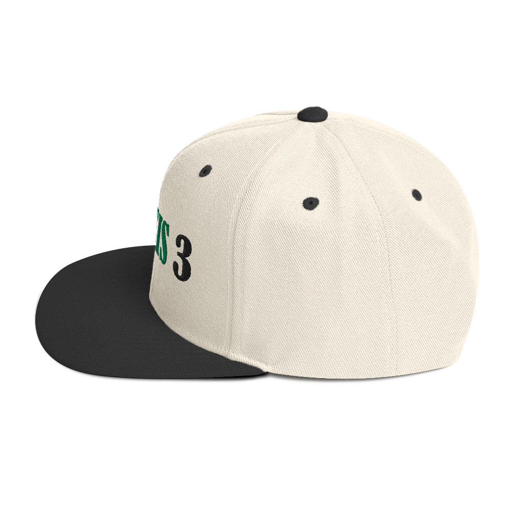 Genesis 3 Snapback Hat - RTS Collaborative