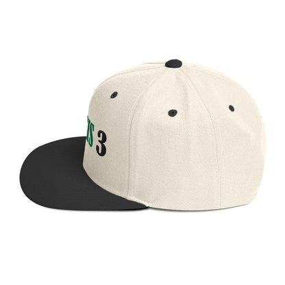 Genesis 3 Snapback Hat - RTS Collaborative