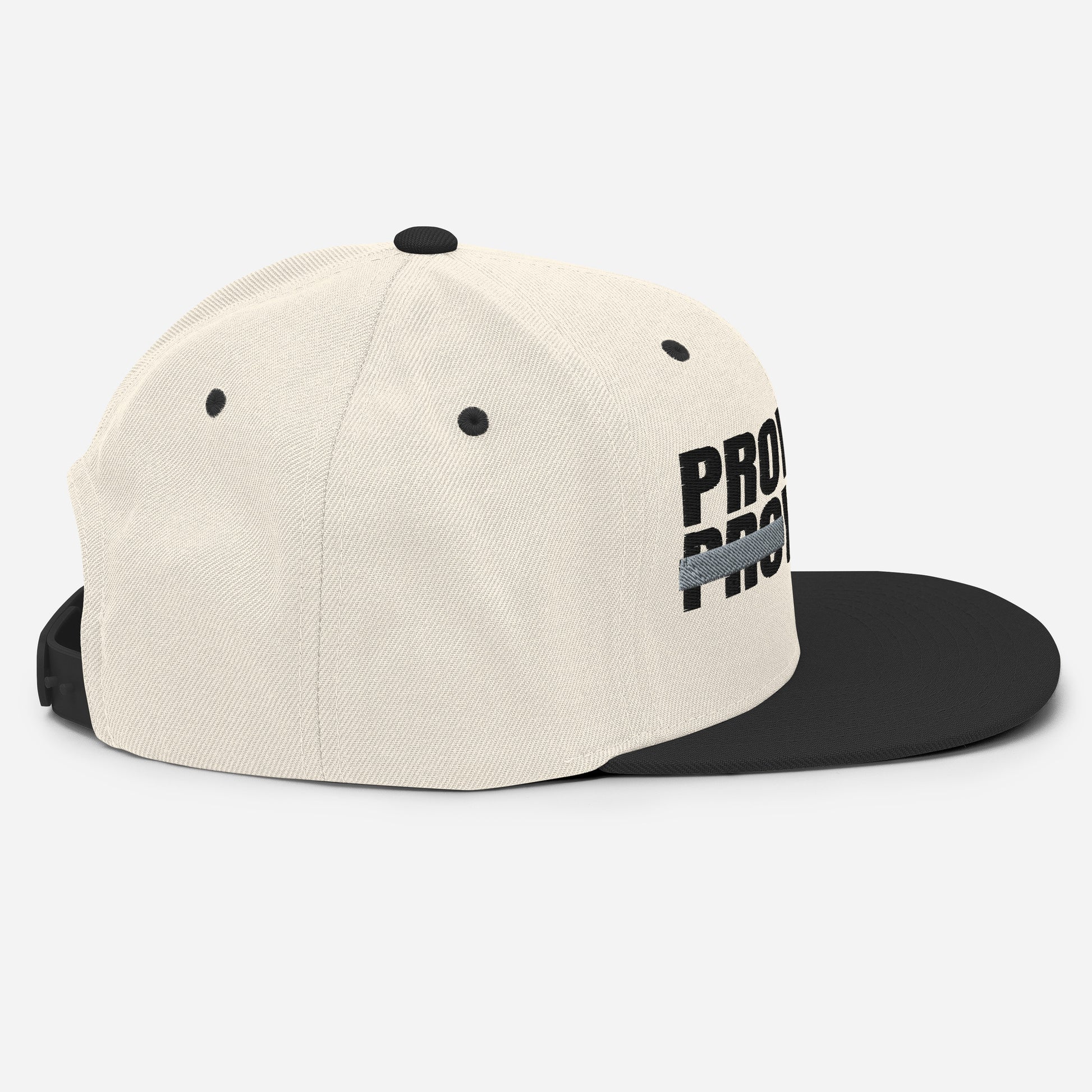 Provision Vision Snapback Hat - RTS Collaborative